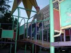 Dvor