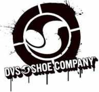 Dvs