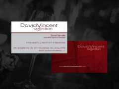 Dvs
