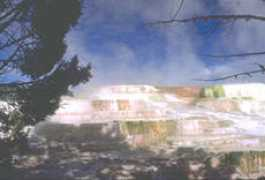 nezperce.com Dyell