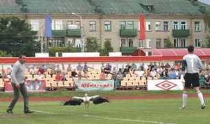 Dzhimmi