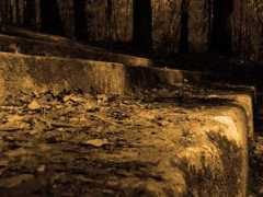 obiektywni.com.pl Dziarkowski