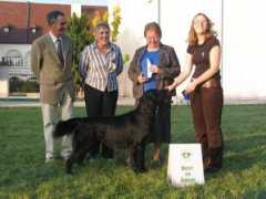 retrieverclub.at Dziekanowska