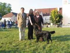 retrieverclub.at Dziekanowska