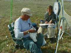 sci.ccny.cuny.edu Dzubin