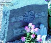 usgwarchives.net Dzuris