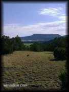 Eagar