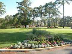 myrtlebeachgolfdirectors.com Eane