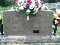 wvcpaweb.org Earlen