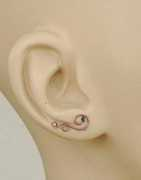 wear-earrings-again.com Earvine