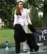 queenofdiamonds.euweb.cz Eberstaller