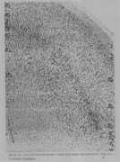 alcmeon.com.ar Eberstaller