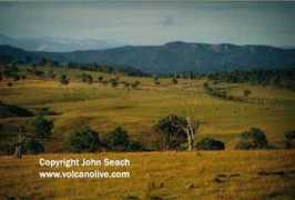 Ebor