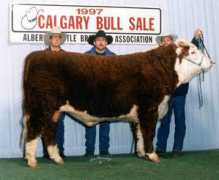 Ebull