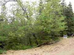 duck-creek-real-estate.com Eddyb