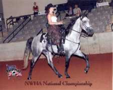mccurdyhorses.com Edemo
