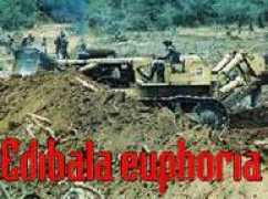 Ediba