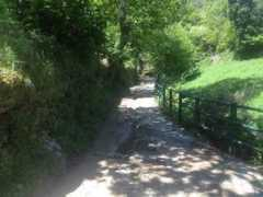 laregion.es Edrada