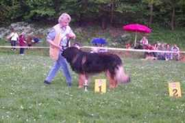 leonberger-sachsenanhalt.de Eevelyn