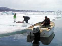 greenlandguide.gl Efraimsen