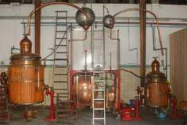 museeabsinthe.com Egrot