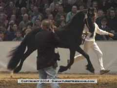 signaturefriesians.com Eibert