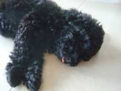 noticias24.com Eidith