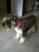noticias24.com Eidith