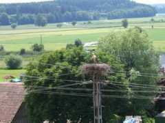 stoerche-oberschwaben.de Einhart