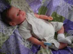 Eivet
