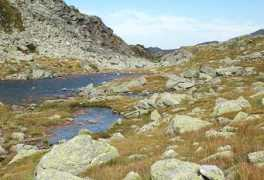 Ekarl