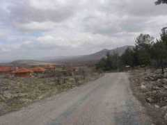 Ekse