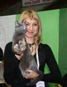 kirstejns-russianblue.dk Elanja