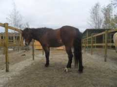 jeaninmichelle96.blogg.no Elayah
