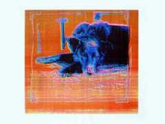 beatart.ch Elbina