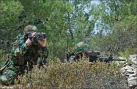 soldiermod.com Elbit