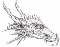 Elderd