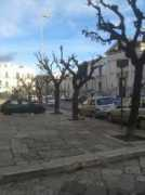 Elicio