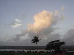 Elimelech