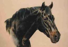 davidmagnesart.com Eliodor