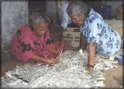 hawaii.edu Elisapeti