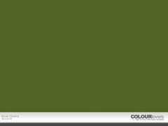 colourlovers.com Elival