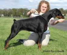 dobermann-review.com Elizaa