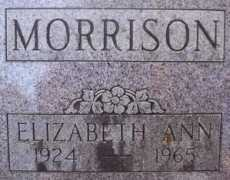 rootsweb.ancestry.com Elizabethann