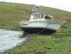 donegaltimes.com Elizak