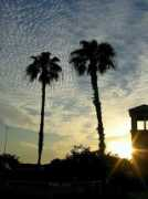 Ellenton