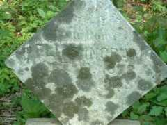 rootsweb.ancestry.com Elliis