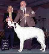 tahoeborzoi.com Ellymay