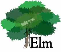 Elm