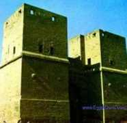 egyptsons.com Elnasr